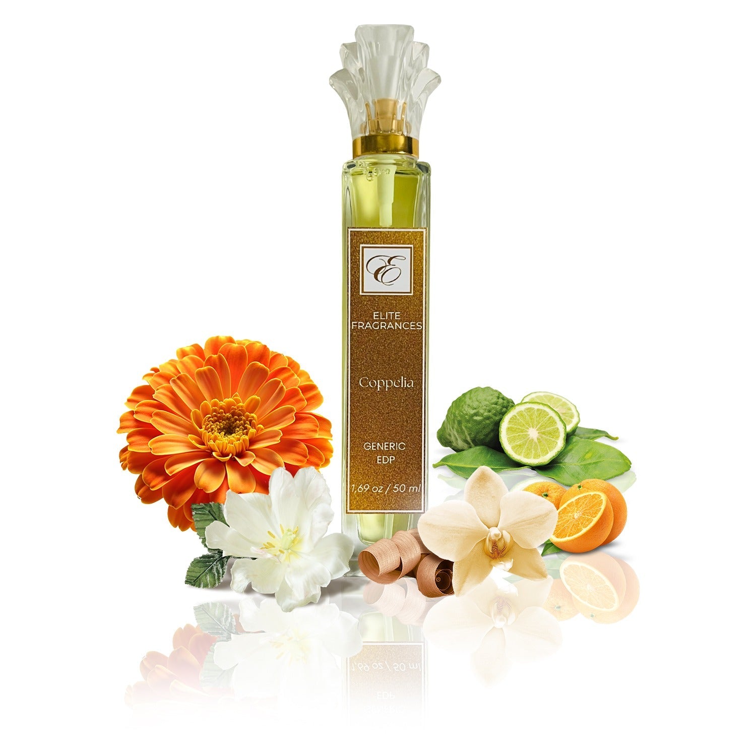 Generic of Coppelia by Avroy Shlain