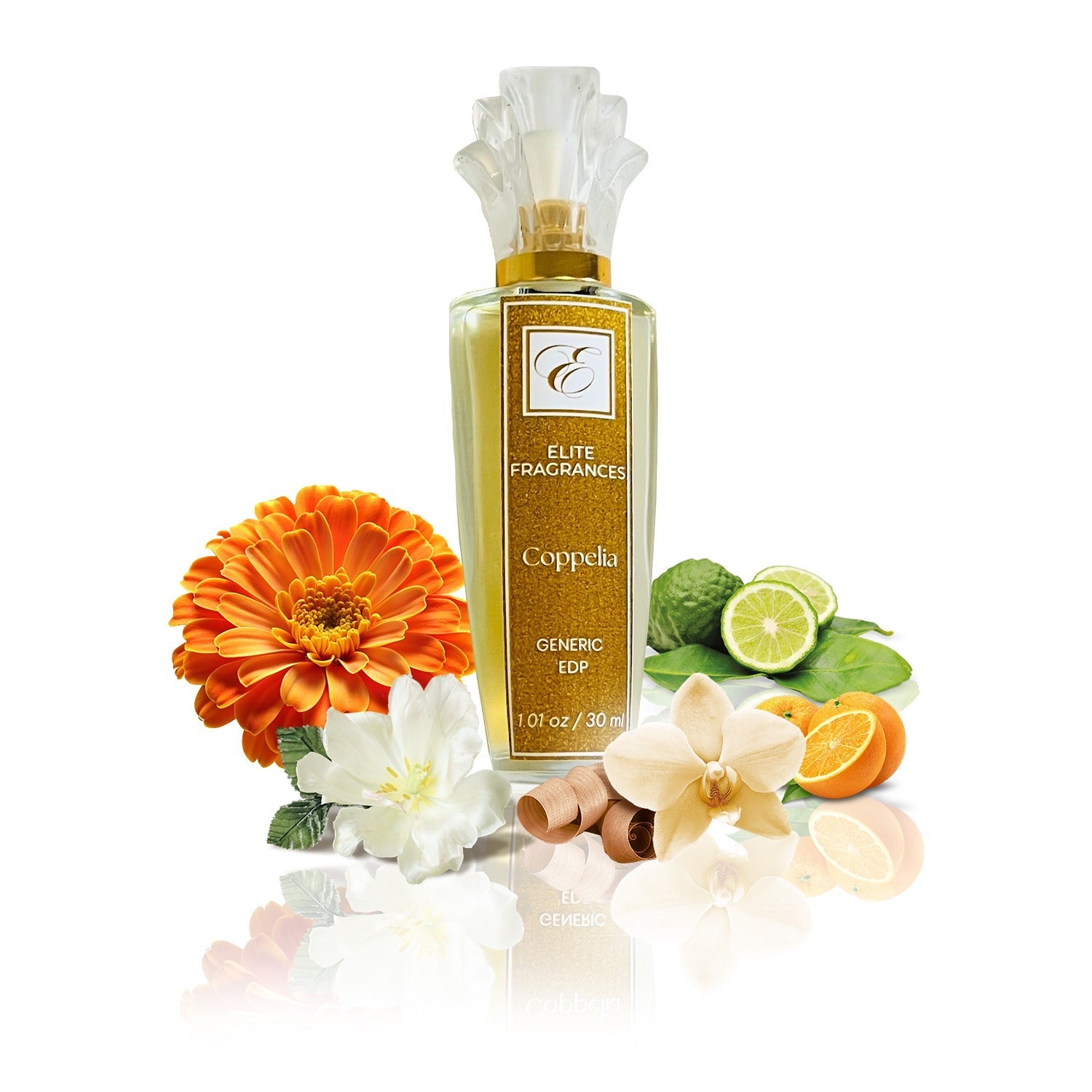 Generic of Coppelia by Avroy Shlain