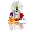 Generic of Fahrenheit by Dior